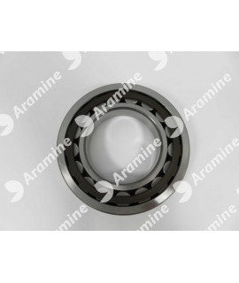 IMPELLER HUB BEARING